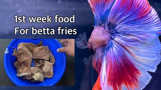 Infusoria culture  1st week food for betta fry Betta fish [upl. by Onin]