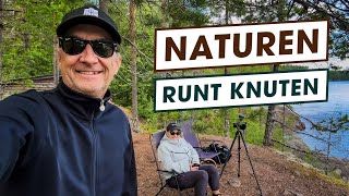 Sveriges Natur runt Knuten – Naturlivet – Harmoni eller Frustration [upl. by Nevetse]