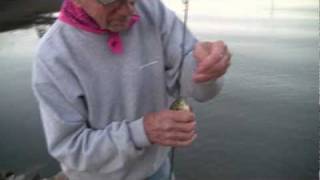 FishFilm  Basic Bobber fishing for SunFish [upl. by Ileek]