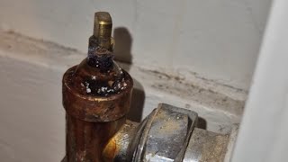 Leaking radiator valve 1 Minute Fix [upl. by Daisy293]