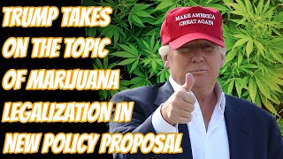 Donald Trump Calls For The Legalization Of Marijuana [upl. by Sewel830]