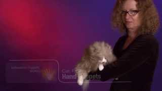 Folkmanis® Fluffy Cat Puppet Demo [upl. by Gilbertine]