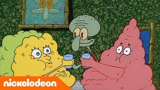 SpongeBob  Burenliefde  Nickelodeon Nederlands [upl. by Mavis]