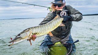 FLIEGENFISCHEN auf HECHT 1 Hechtfliegenfischen auf Rügen [upl. by Ariahaj]