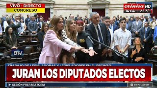 Así juraron Lilia Lemoine Tolosa Paz y otros diputados electos [upl. by Siramad855]