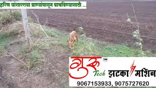 Jhatka machine Solar Fence GuardSolar Fencing with Siren Boon For All Farmers [upl. by Ayekin]