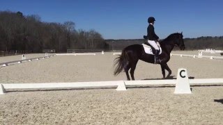 Beginner Novice Dressage Test A [upl. by Wieche924]