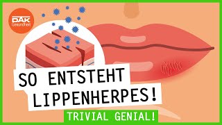 Wie entsteht Herpes  trivialgenial  DAKGesundheit [upl. by Carmelina286]