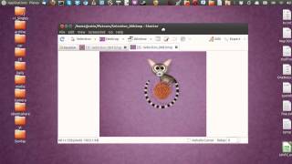 Snipping Tool in Ubuntu 1304 [upl. by Nobe]