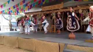 Bailables Típicos de Mexico en Michoacán [upl. by Timi]