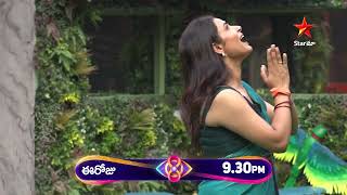 Bigg Boss Telugu 8  Day 64  Promo 1  Nomination Drama Begins 🔥 Nagarjuna  Star Maa [upl. by Dorothy]