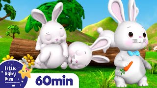 Sleeping Bunnies  LittleBabyBum  Nursery Rhymes for Babies [upl. by Tegdig90]