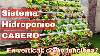 SISTEMA HIDROPONICO CASERO NFT en vertical [upl. by Dihgirb]