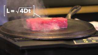 HarvardX Science amp Cooking Meat [upl. by Aztilem520]