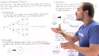 Introduction to Embryological Development [upl. by Cesar]