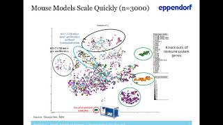 Towards Standardized Workflows  A focus on microbiome insights [upl. by Lekym]