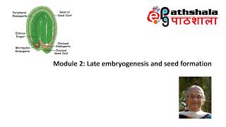 Module 2 Late Embryogenesis and Seed formation EPGPathshala [upl. by Wylde]