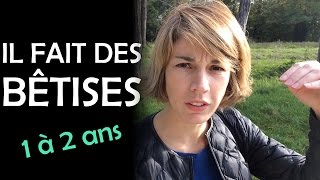 Comment réagir face aux quotbêtisesquot des enfants de 1 à 2 ans selon Isabelle Filliozat [upl. by Gertrudis229]