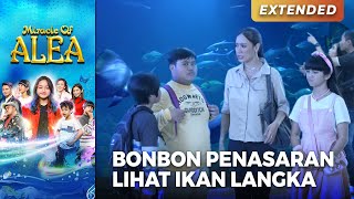 BONBON PENASARAN Dengan Ikan Langka Di Akuarium  MIRACLE OF ALEA EPS 1 44 [upl. by Kared]