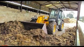 Mucking Out The Cow Sheds On The Farm With A JCB [upl. by Acinorav]