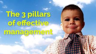 Effective Management  3 Pillars of Success  Be a better Manager [upl. by Dralliw]