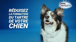 DENTALIFE® CHIEN Hygiène BuccoDentaire pendant 28jours [upl. by Nwahsat]