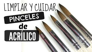 Como Limpiar y Cuidar Nuestros Pinceles de Acrílico [upl. by Lauhsoj]