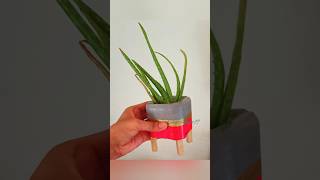 cement hacks for home decor how to make cement pots at home [upl. by Ynohtnaeoj]