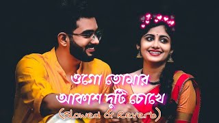 Ogo Tomar akash duti Chokha  Diya Jahan  Hasan S lqbal  SlowReverb  New Bangla Song [upl. by Aivlis787]