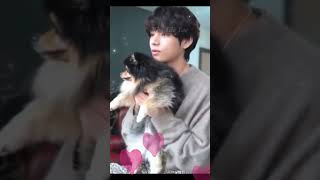 Taehyung V and his dog Yeontan acting cute together 🤗😘 bts kpopfunny btsjungkook btsv army [upl. by Osnofedli]