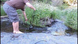 Waterlily Setup in River [upl. by Leba550]