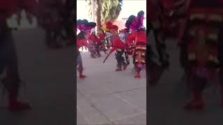 Danza â€œLos Guadalupanosâ€ [upl. by Lahcym613]