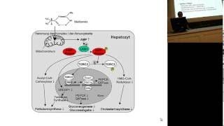 Block 10 Tutorium Pharmakologie Tag 1 edited [upl. by Ykcaj]