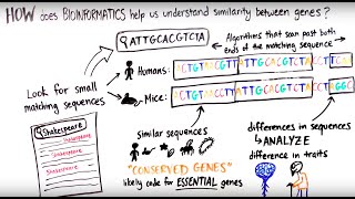 What is Bioinformatics [upl. by Cindi927]