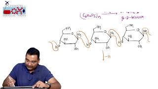 Lecture14 Structure of cellulose [upl. by Aekan529]