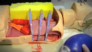 Thoracotomy Simulation [upl. by Lecirg]