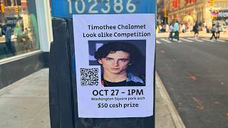 how i created the timothee chalamet lookalike contest [upl. by Elin]