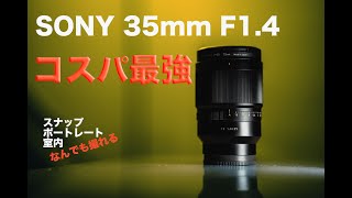 【初めに買うならこれ！なんでも撮れる万能レンズ】SONY 35mm F14 [upl. by Ellek495]