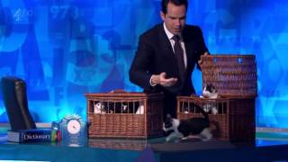 Jimmy Carr herding cats [upl. by Ullman]