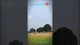 Pyar tujhe karta hu 🏏❤️🥰❤️viral shorts trending video cricket [upl. by Ecitnerp]