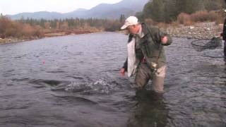 quotTrinity River Steelheadquot this week on AWTV [upl. by Dix]