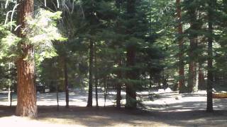 Cedar Grove Campground [upl. by Sedruol202]