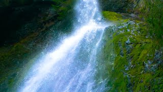 Waterfall Sound for Sleeping Relaxation Stress Relief 😊 White Noise 10 Hours [upl. by Crooks]