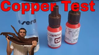 How to test for copper in Aquarium [upl. by Rebma502]