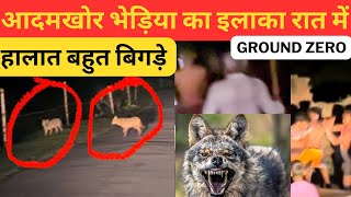 आदमखोर भेड़िया का इलाका रात में‼️Bahraich Bhediya Attack  Wolf Attack In UP [upl. by Adoree]