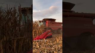 CASE IH 9250 AxialFlow Combine bigtractorpower caseih combine [upl. by Carolyn]