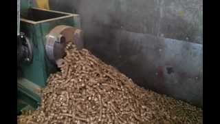 12mm straw pellets from BT60 briquetting press for chickens horses rabbits animals fish poultry [upl. by Fraya]