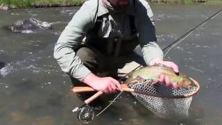 Crooked River dry fly fishing [upl. by Niattirb940]