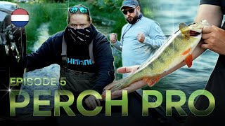 PERCH PRO 10  Aflevering 5 Dutch Version [upl. by Corine574]