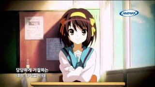 HD 스즈미야 하루히의 우울 2기 OP Suzumiya Haruhi no Yuuutsu [upl. by Sualokcin]